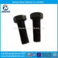 Black Oxide Grade 12.9 Hex Tap Schrauben